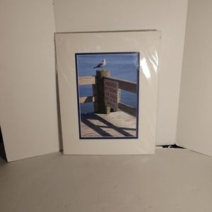 Art work Sea Gulls Signed and numbered No Feeding from Dock